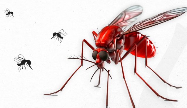 PostDengue PostDengue